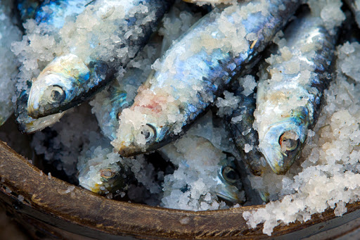 ΨΑΡΙΑ ΛΑΔΙΟΥ - ΑΛΙΠΑΣΤΑ